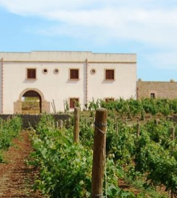 Agriturismo Donna Franca